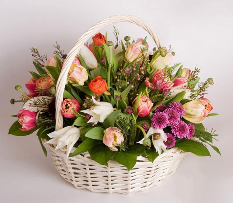 Điện Hoa Bắc Kạn - Hoa Sài Gòn