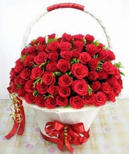 Điện Hoa Hải Phòng - Hoa Sài Gòn