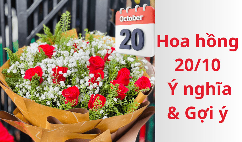 Hoa hồng 20/10 – Ý nghĩa và gợi ý