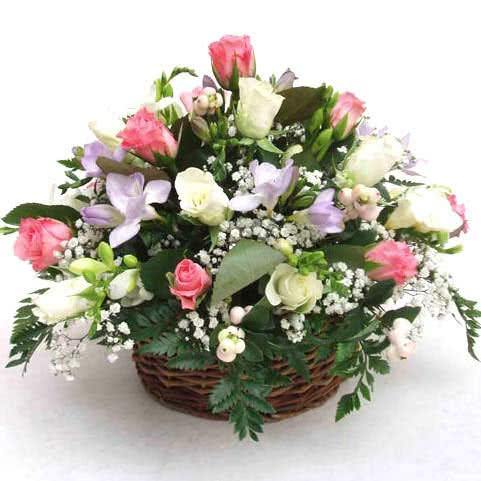 Điện Hoa Điện Biên - Hoa Sài Gòn