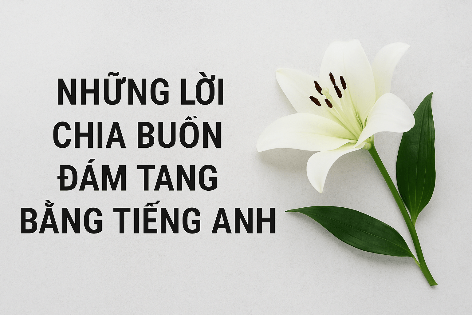 Những Lời Chia Buồn Đám Tang Bằng Tiếng Anh - Hoa Sài Gòn