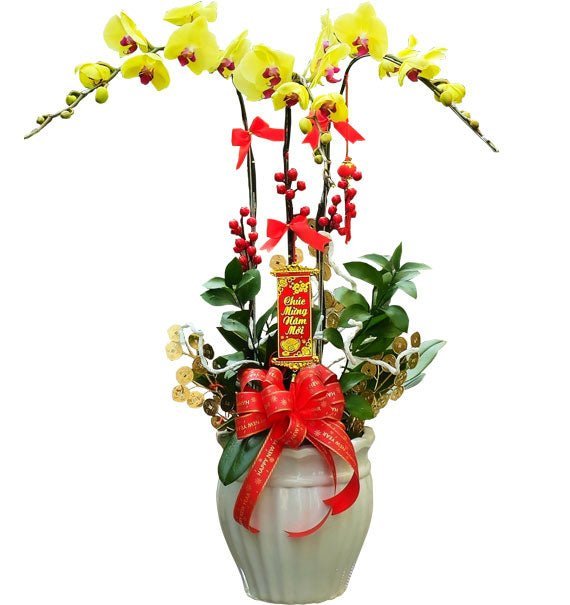 Ánh Dương May Mắn