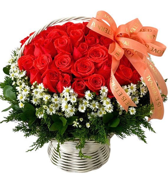 Ánh Lửa Tươi Đẹp