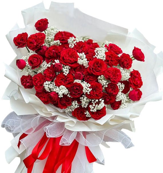 Bản Tình Ca Đỏ