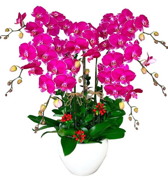 Bảy Điều Ngọt Ngào - Hoa Sài Gòn