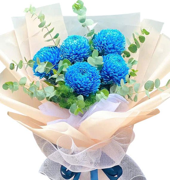 bo cuc mau don xanh duong