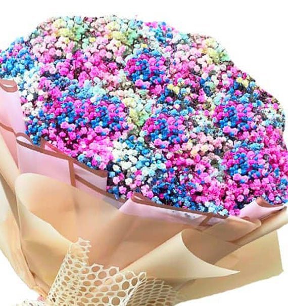 Cảm Ơn Người Dẫn Lối