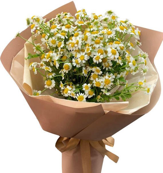 Cất Cánh Ước Mơ