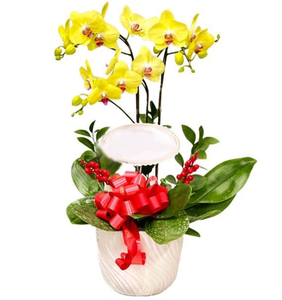 Chạm cảm Hứng