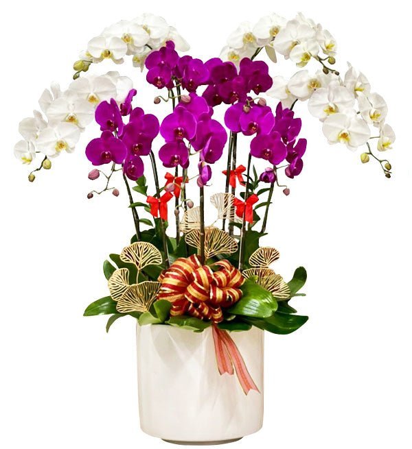 Cửu Lộc Trường Hưng