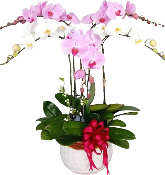 Cửu Phúc Giao Hòa