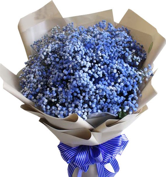 Đại Dương Mỏng Manh