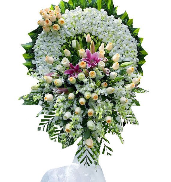 Dòng Thời Gian - Hoa Sài Gòn