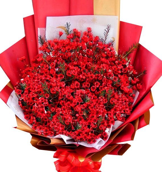 Duyên Đỏ Mệnh Hồng