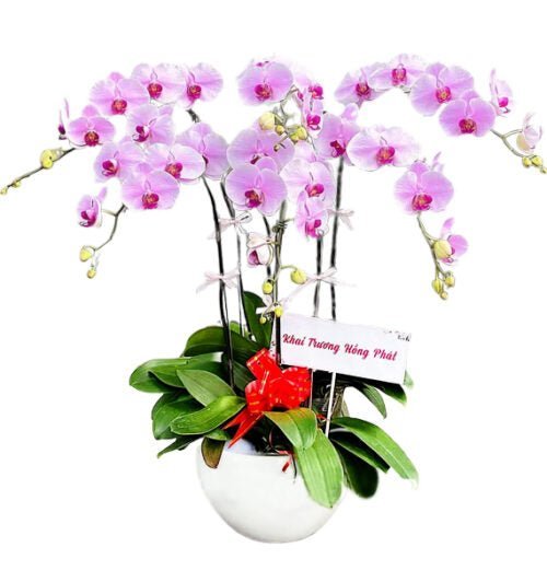 Hồng Ân