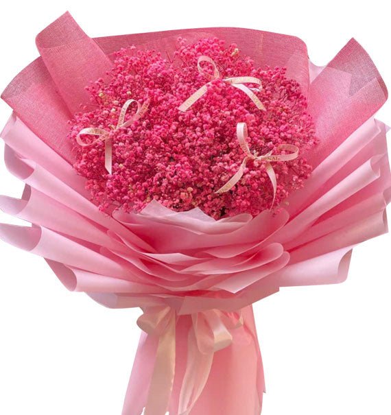 Hồng Đậm Mộng Mơ