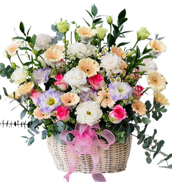 Hồng Phát Đại Cát - Hoa Sài Gòn