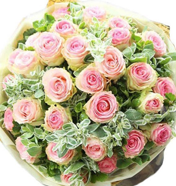 Hồng Thay Lời Cảm Ơn