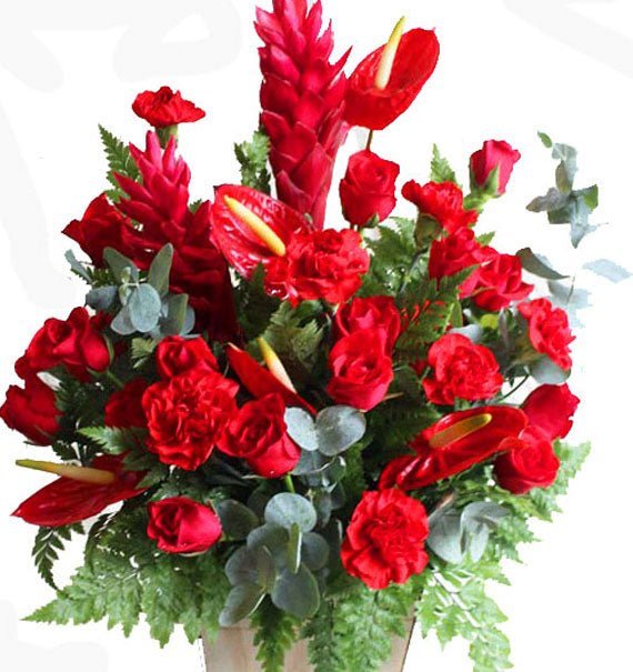 Hộp Hoa Hồng Đỏ & Cẩm Chướng Đỏ - Hoa Sài Gòn