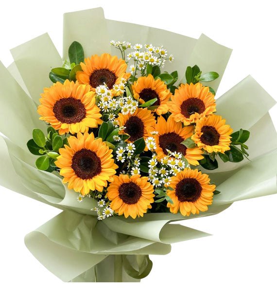 Hướng Dương Chan Nắng