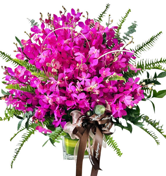 Hương Lan Qúy Nữ