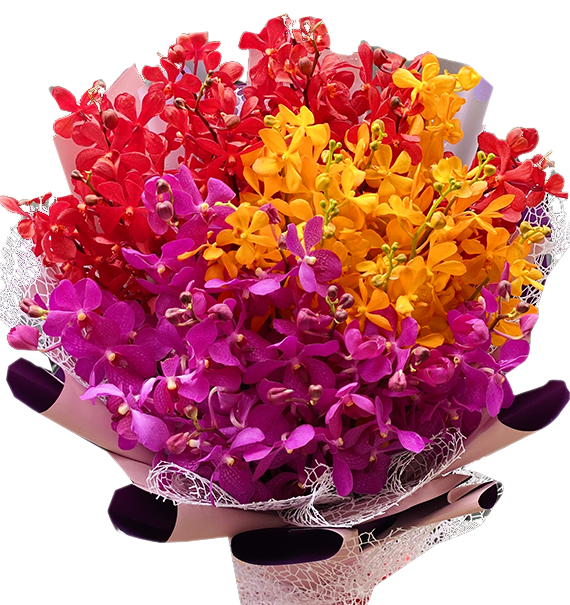 Hương Lan Qúy Phái