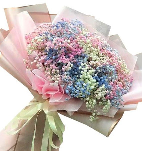Hương Sắc Biết Ơn