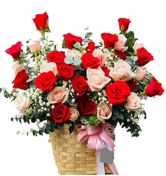 Hương Sắc Thành Công - Hoa Sài Gòn