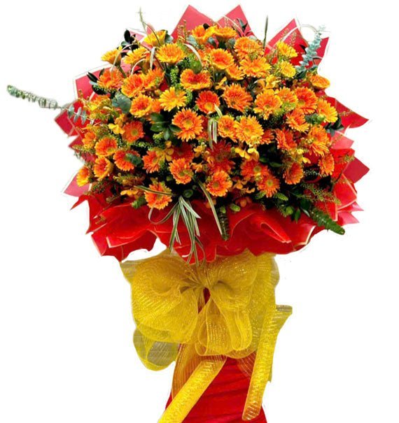 Kệ Hoa Đồng Tiền