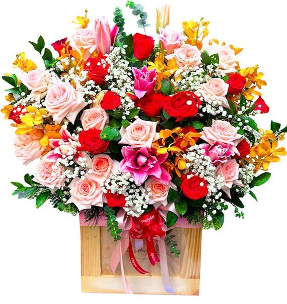 Khởi Sắc Mỗi Ngày