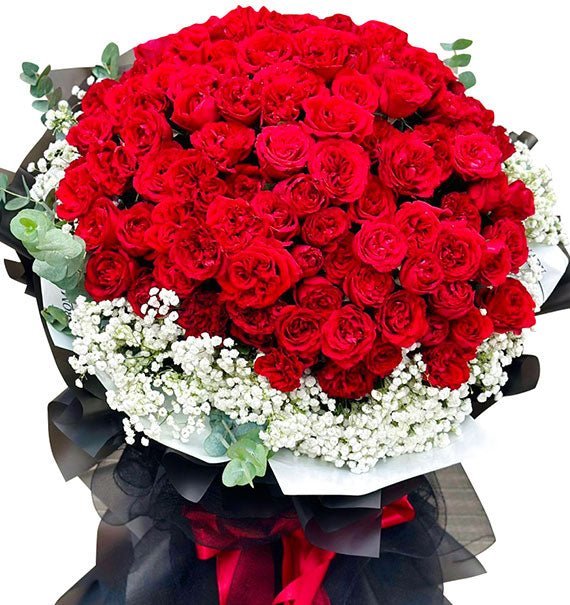 Khúc Giao Hưởng Màu Đỏ