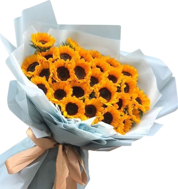 Kim Dương Rực Nắng