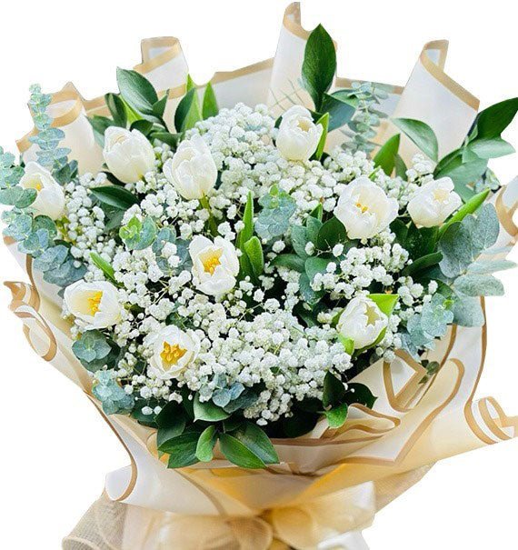 Ký Ức Màu Tulip