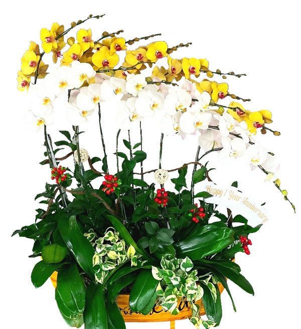 Lan Phát Tứ Qúy