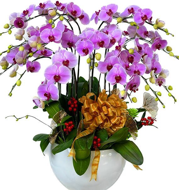 Lan Tím Trường Tồn