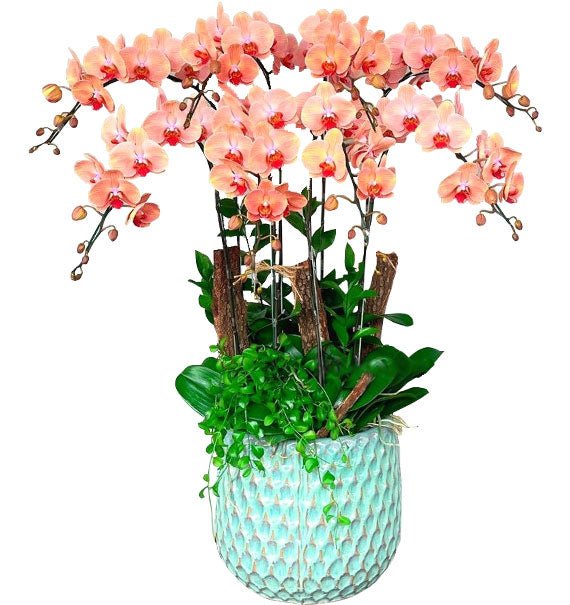Lan Tỏa Hương Vị