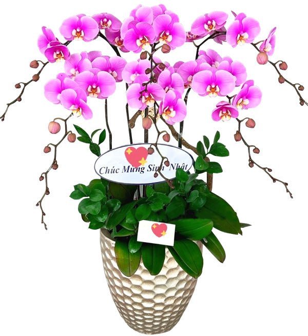 Lộc Hồng Nhân Duyên