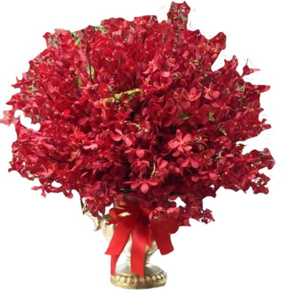 Lộc Lan Hưng Thịnh