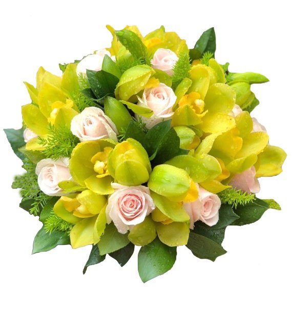 Lời Hứa Dịu Dàng
