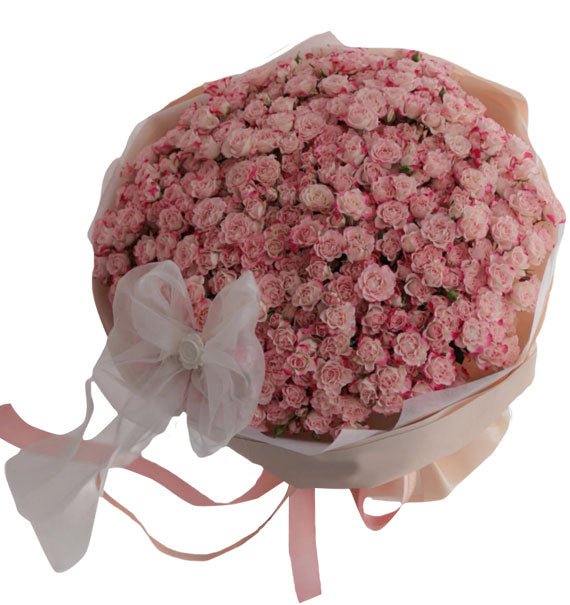 Lời Thì Thầm Của Hồng