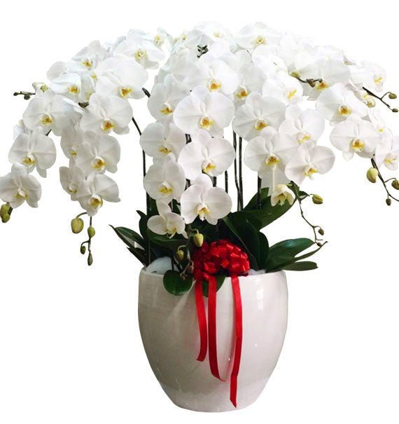 Mãi Gắn Kết