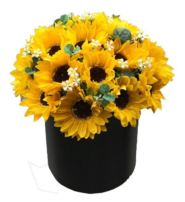 Nắng Ấm Gia Đình