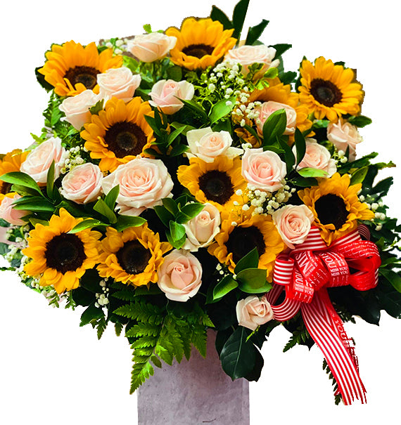 Nắng Ấm Gia Đình