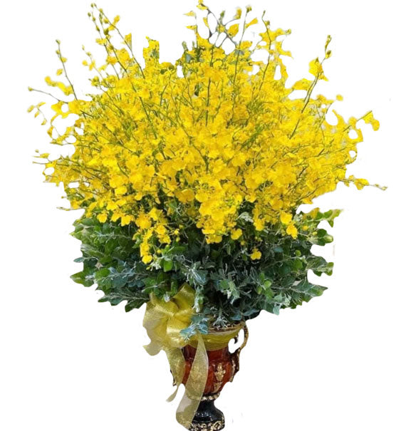 Nắng Trên Cánh Lan