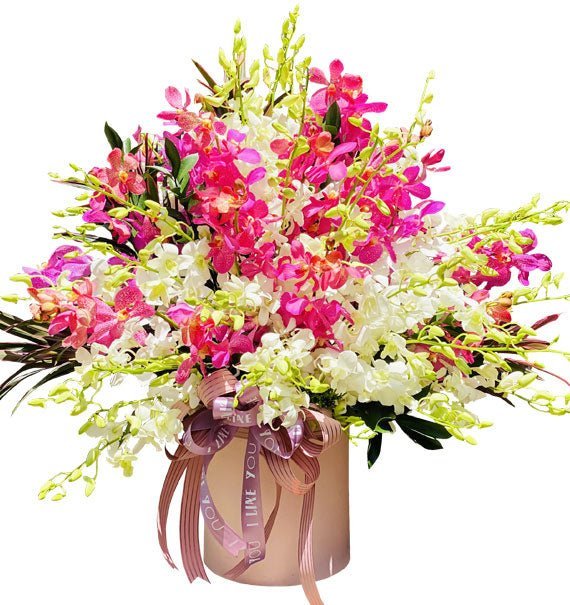 Nhớ Mãi Nụ Cười Thân Thương - Hoa Sài Gòn