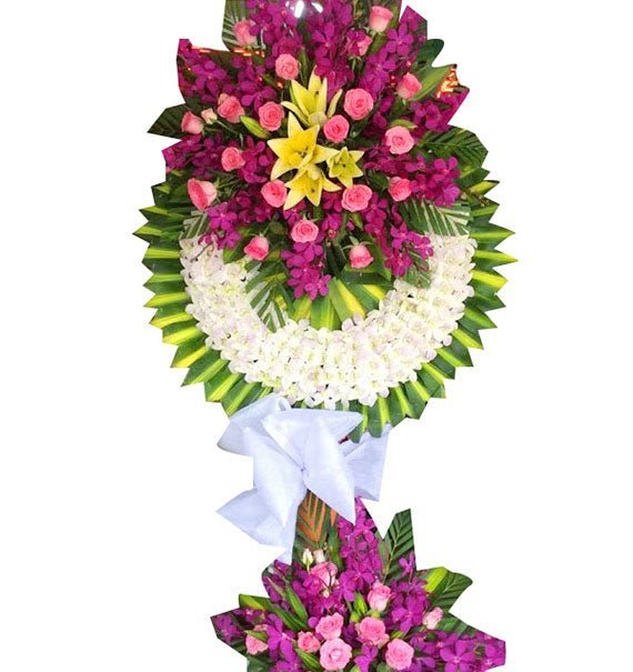 Nơi Bình Yên - Hoa Sài Gòn