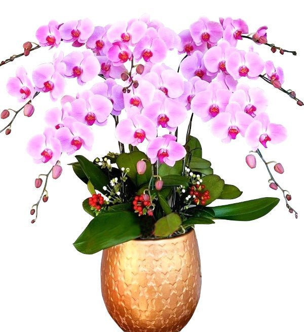 Phát Đạt Như Ý