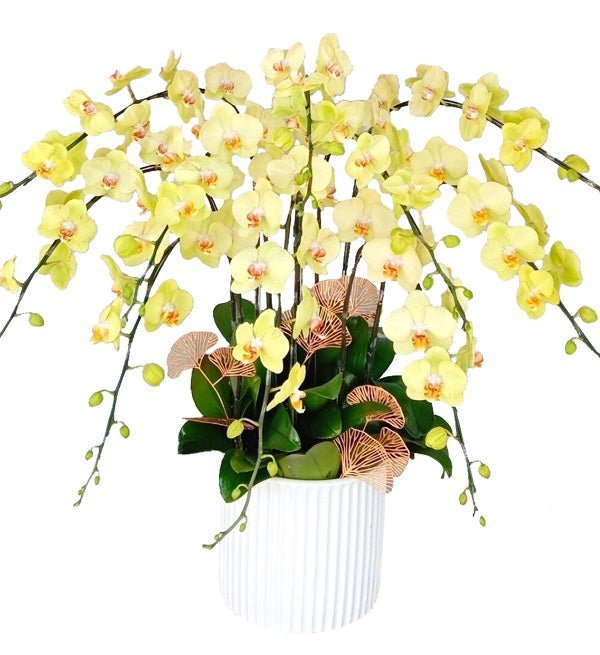 Phú Qúy Mãn Đường