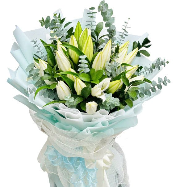 Sắc Trắng Cao Qúy