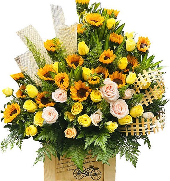 Tài Cát Thịnh Vượng - Hoa Sài Gòn